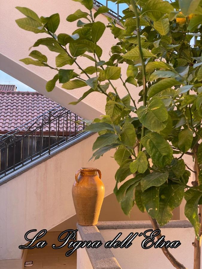 Appartement La Pigna Dell'Etna à Nicolosi Extérieur photo